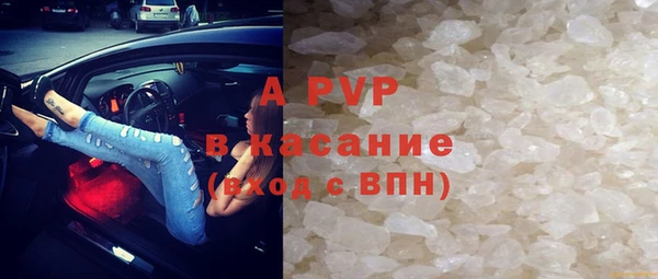 ГАЛЛЮЦИНОГЕННЫЕ ГРИБЫ Абаза