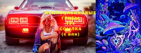 ГАЛЛЮЦИНОГЕННЫЕ ГРИБЫ Абаза