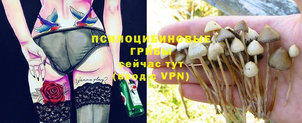 экстази Алексеевка