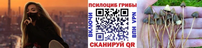 Псилоцибиновые грибы MAGIC MUSHROOMS  Александров 