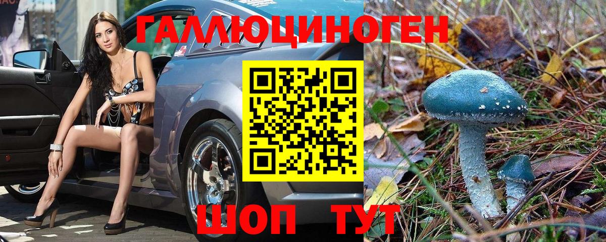 Галлюциногенные грибы MAGIC MUSHROOMS  Вход с VPN  купить наркотики сайты  Александров  Галлюциногенные грибы GOLDEN TEACHER 